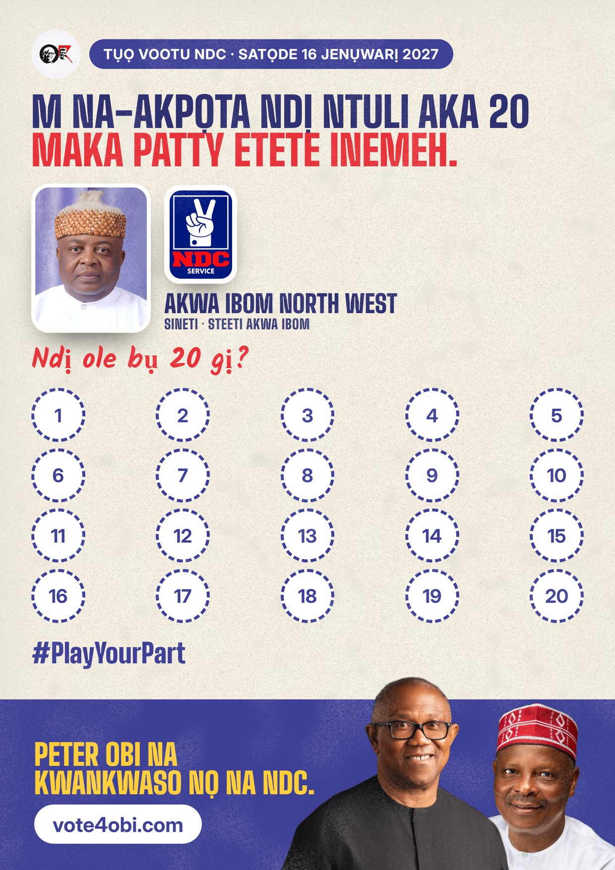 Mpempe akwụkwọ mgbasa ozi: Patty Etete Inemeh, onye NDC na-azọ maka Sineti, Akwa Ibom North West