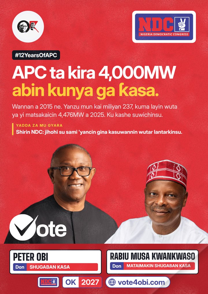 APC ta kira 4,000MW abin kunya ga ƙasa.